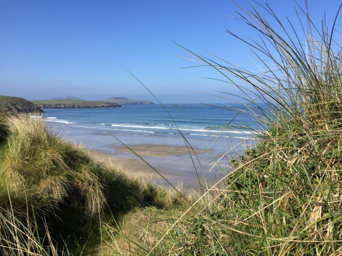 Craig-Y-Mor Suites With Sea Views Whitesands St Davids Eksteriør bilde
