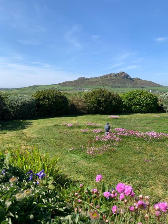 Craig-Y-Mor Suites With Sea Views Whitesands St Davids Eksteriør bilde